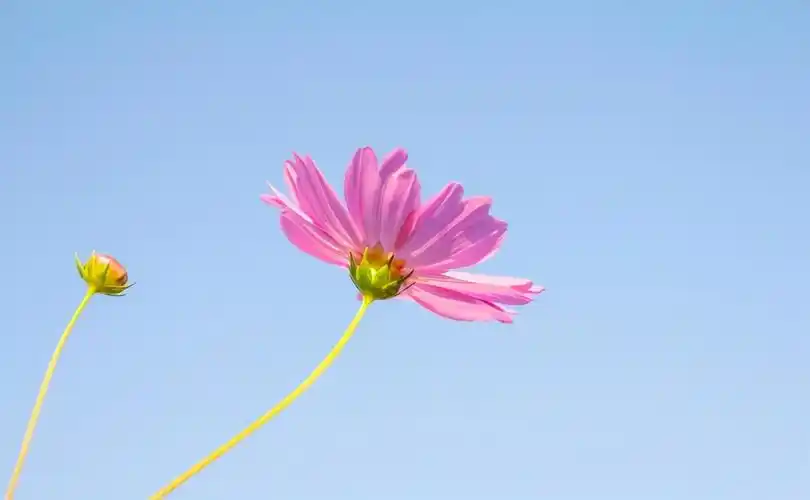 2021很励志的心灵鸡汤,振奋人心,发朋友圈超赞