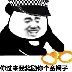 特swat譬没错,我根本不是司机我是人民警察,我要逮捕你表情包 - 表情