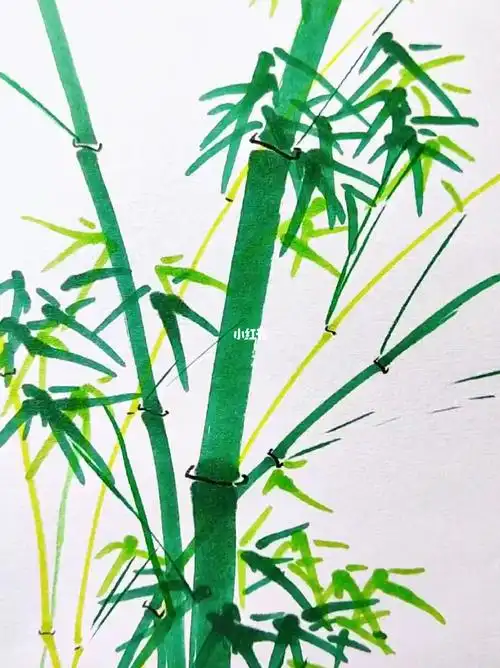 马克笔画竹子