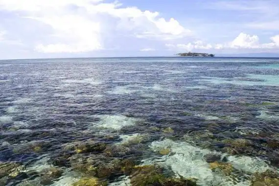 世界上最大的海:珊瑚海,480万平方千米(含最大珊瑚体)