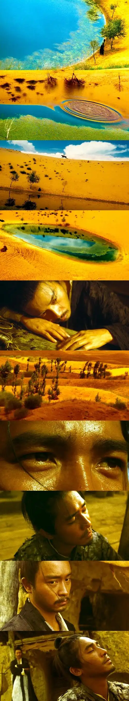 【东邪西毒:终极版 东邪西毒终极版 (2008)】14