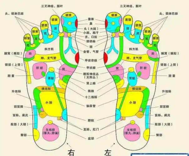 安徽学子推拿吾悦店为您打开养生之门!