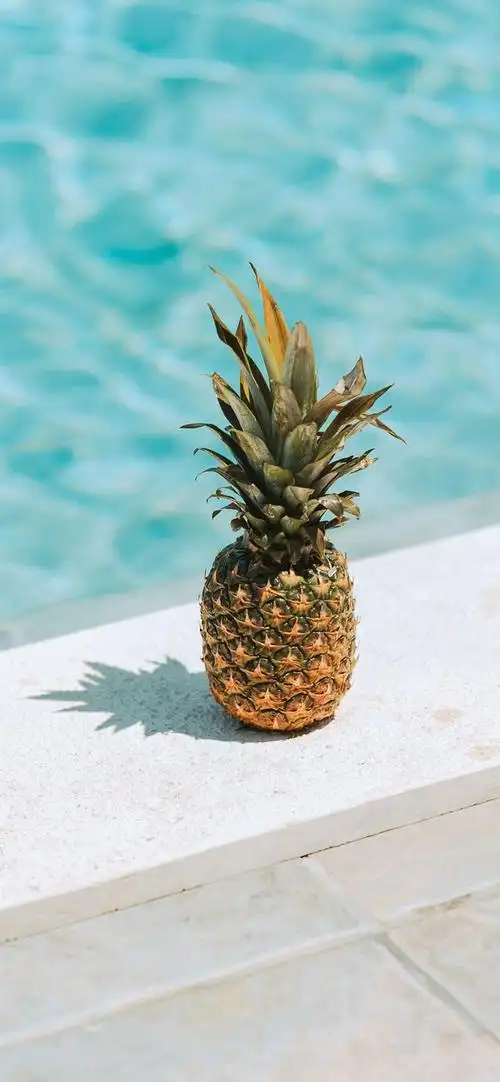 友友们有没有护眼简约的壁纸啊