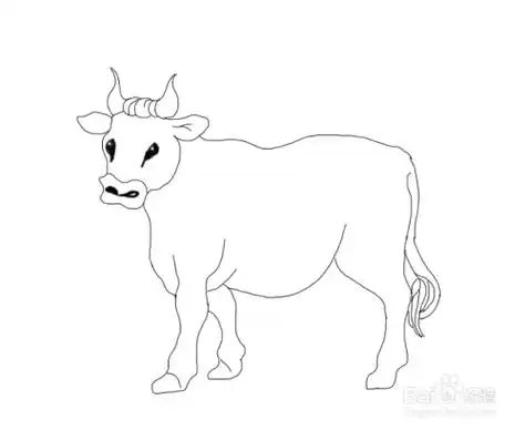 牛的简笔画如何画