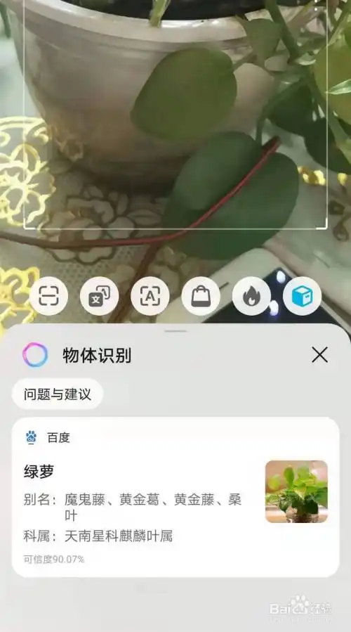 相机对准需要是别的物品,点击'识物'即可,手机会自动识别