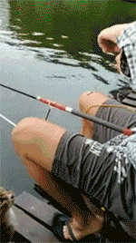 男子带猫咪去钓鱼,分成比例让他很满意