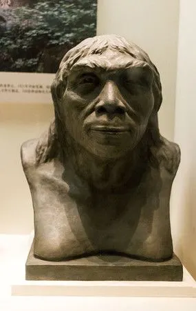 山顶洞人复原像