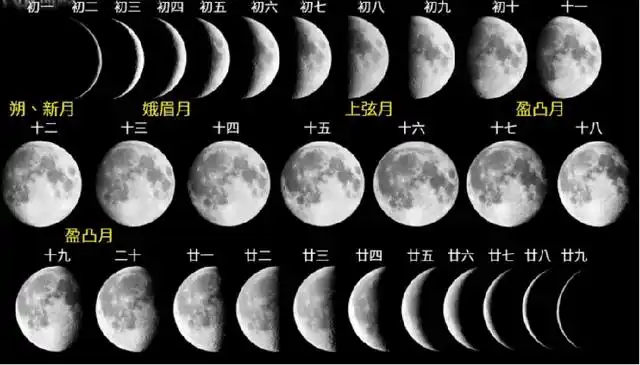 1那么,小伙伴们,你们有没有发现,每天晚上的月亮都是不同形状的呢?