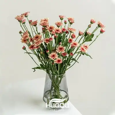 小雏菊鲜花多头小菊新鲜纽扣菊家庭办公瓶插花云南基地直发包邮