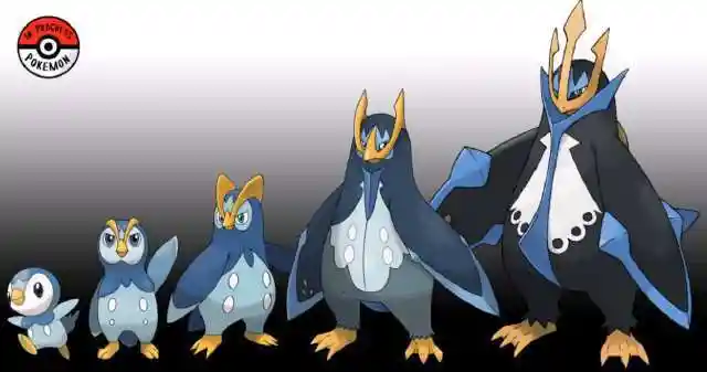 完整的神奇宝贝进化过程原来神奥地区的御三家是这么进化的