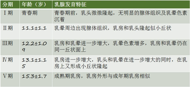 女性28岁生宝宝可以发育乳房么_这个乳房发育的好吗知道_14岁少女乳房