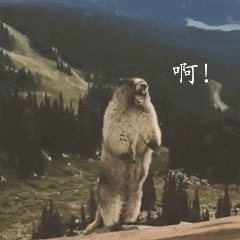 住顶楼快热炸了