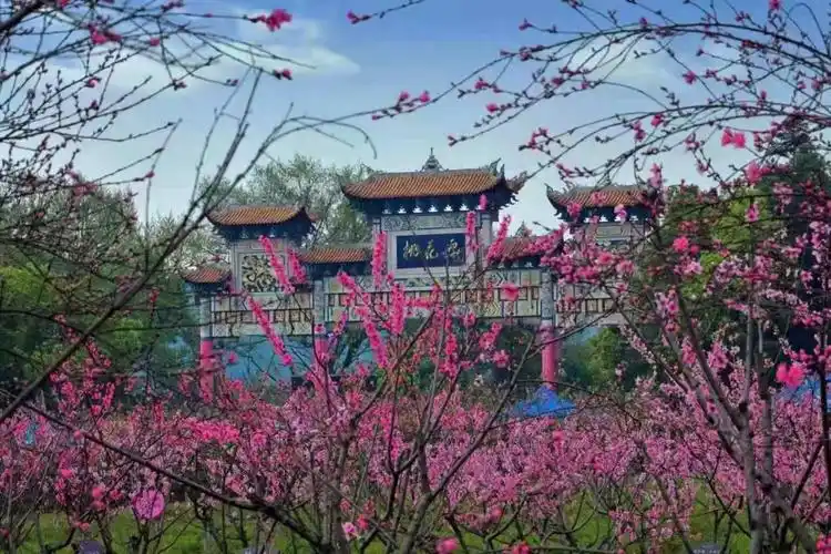 常德桃花源人气火爆"五一"假期游客翻番