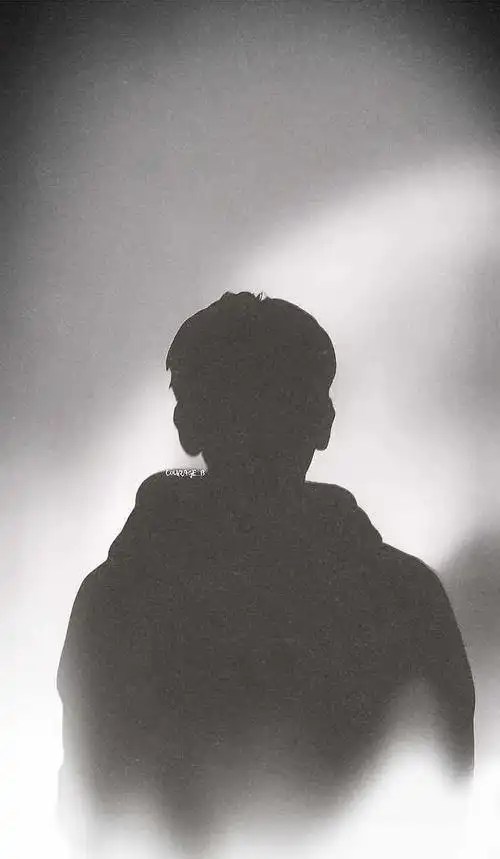 愿教清影常相见论边伯贤剪影的美感