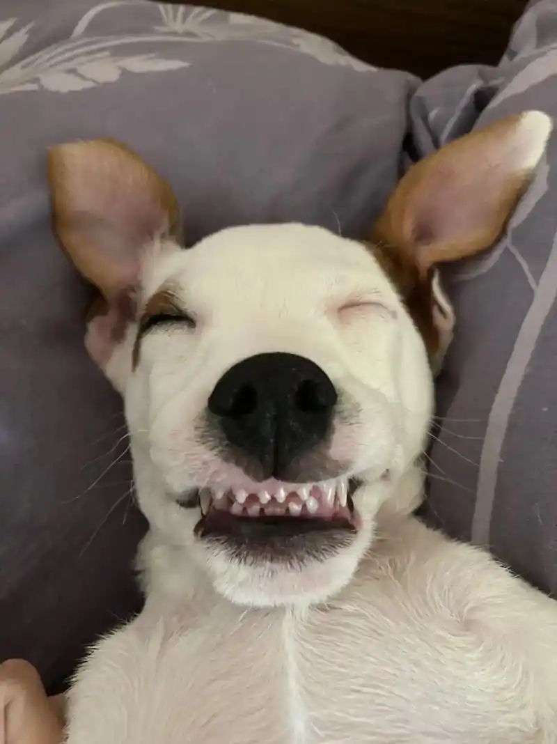 丑照合集. - choo 7 - 抖音