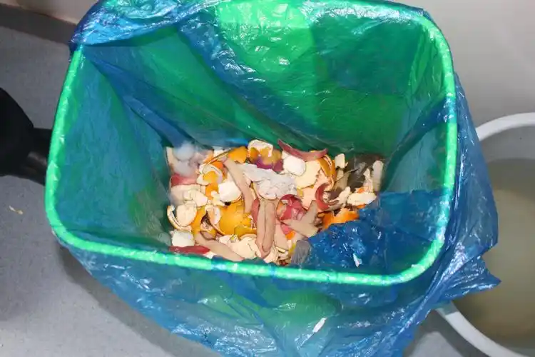 厨余垃圾中不得有塑料袋,餐巾纸等包装物品,只能放瓜皮果壳类
