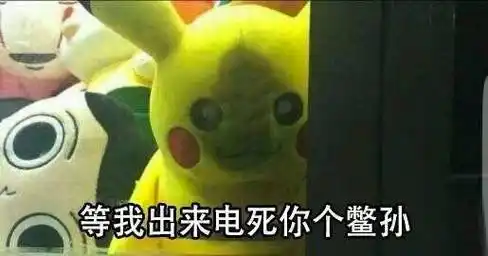 等我出来电死你个鳖孙 - 皮卡丘斗图表情包 _皮卡丘_卡通表情