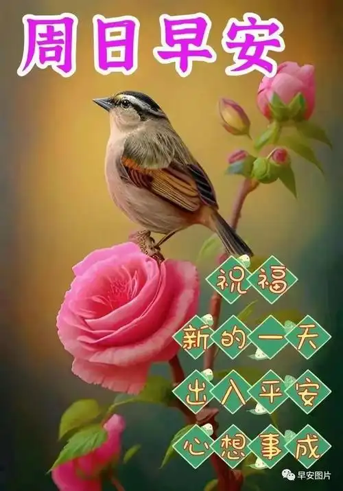 早上好!16,一个朋友一片天,一个知己一份情,珍惜人生每一天.