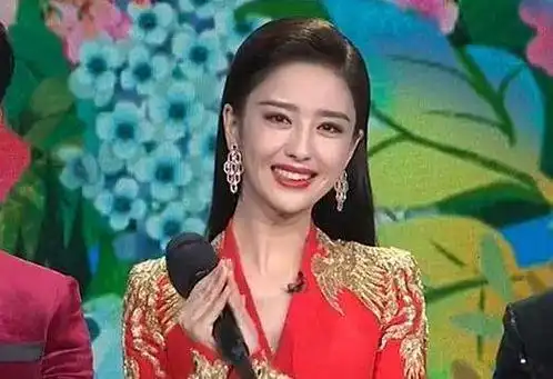 晚会主持人发型图片(历届央视春晚造型盘点) - 赤虎壹号