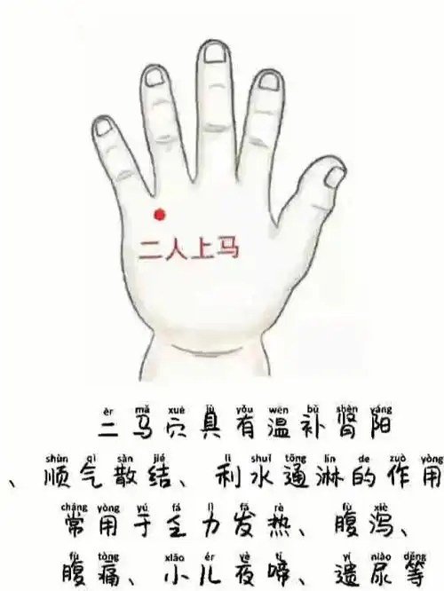 二马又称二人上马顺时针按揉可补阳益气逆时针可揉按可泄火养阴小儿