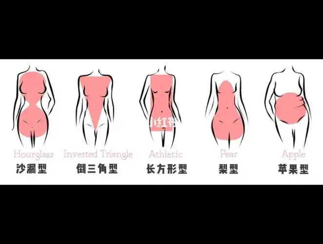 女性体型的分类你是属于哪一种