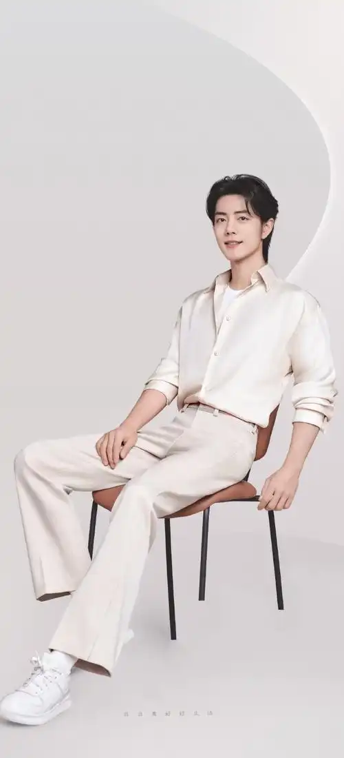 肖战石头全球品牌代言人##肖战