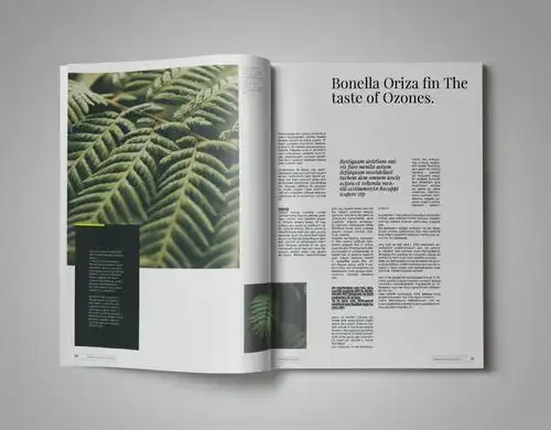 变色鱼提供国外设计素材园艺植物主题杂志排版设计模板gardenand