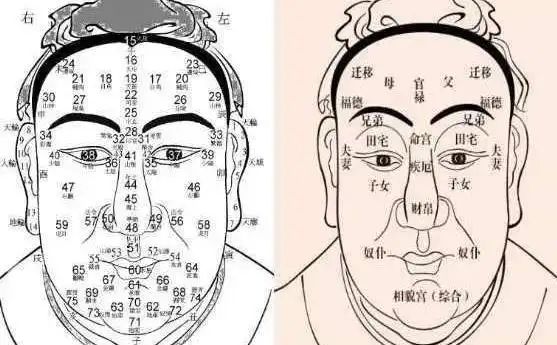 如何从面相看出一个人的社会地位