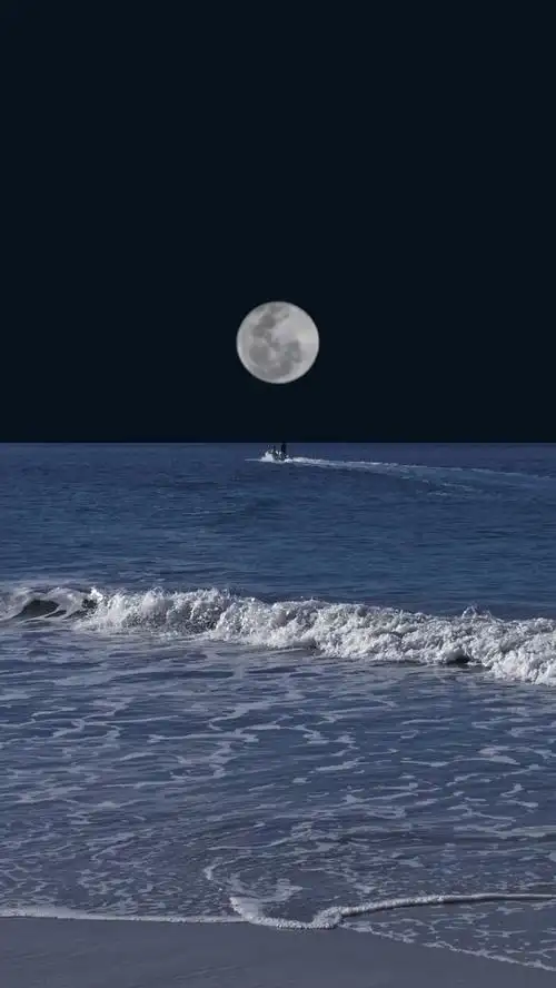 选择温柔 - 堆糖,美图壁纸兴趣社区