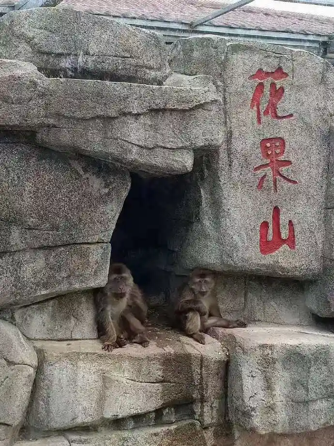 日照花果山一游