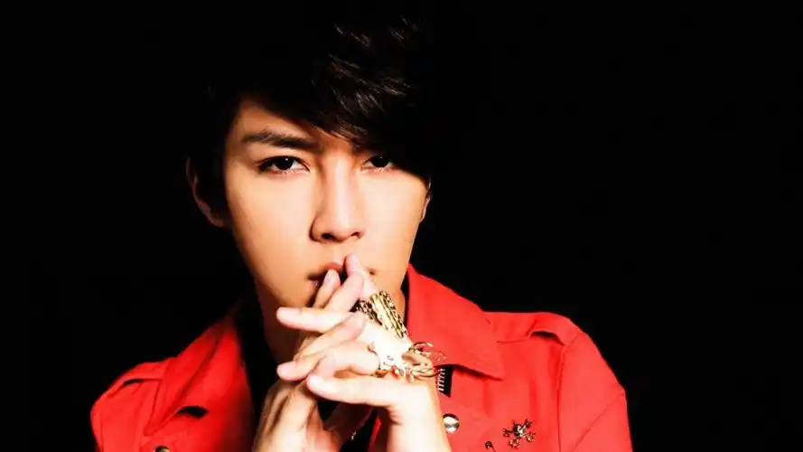 我想要有关炎亚纶的电脑桌面壁纸,14寸的笔记本,找了很多大小都不合适