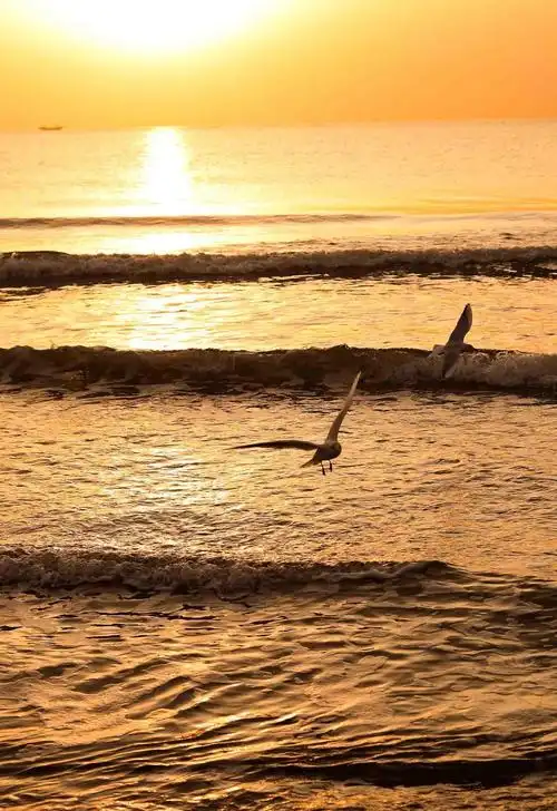 黄金海岸治愈系黄昏美景唯美迷人风光