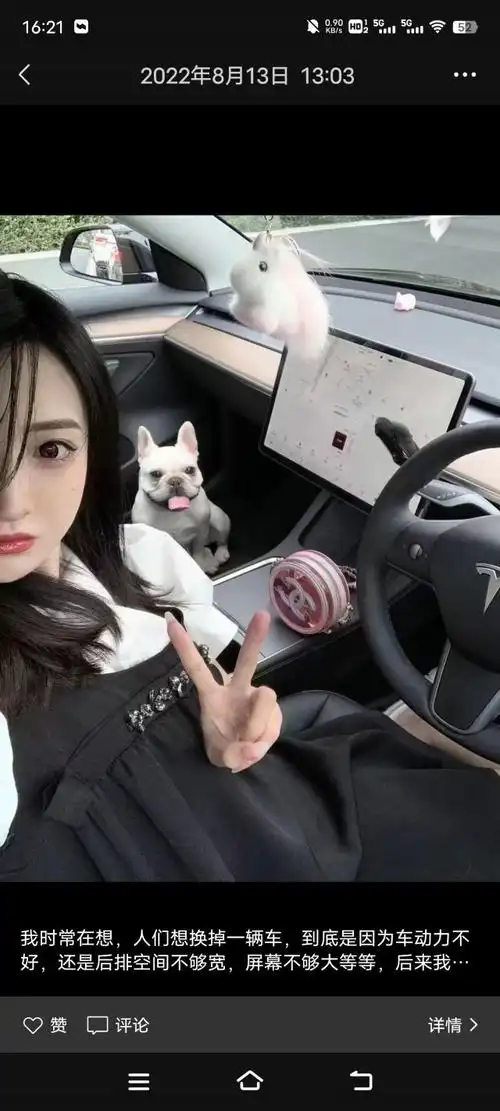 特斯拉女车主这么多是不是证明买车还是男人理性女人感性点