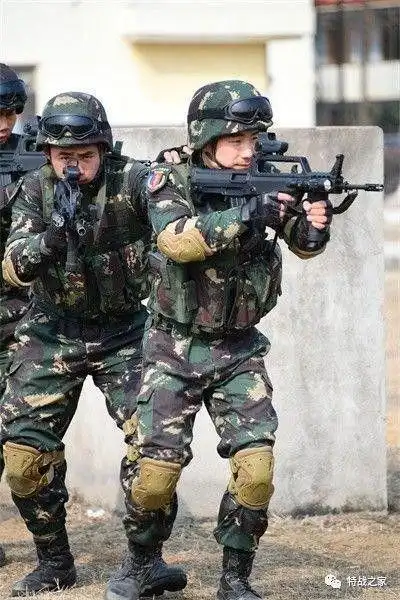 中国特种部队之东北虎