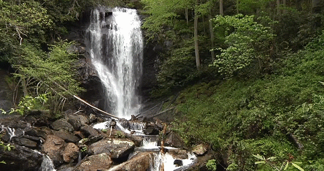 瀑布自然风景流水绿色gif动图_动态图_表情包下载_soogif