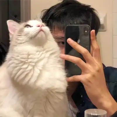 怀中抱猫男生头像遇见你爱意汹涌看世间万物都浪漫心动