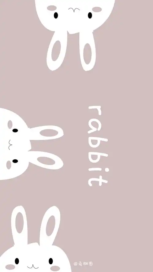 可爱壁纸 兔糊图