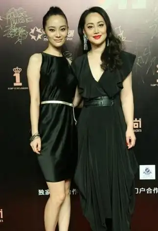 宋佳个人资料图片 宋佳女儿张楚楚照片和身世