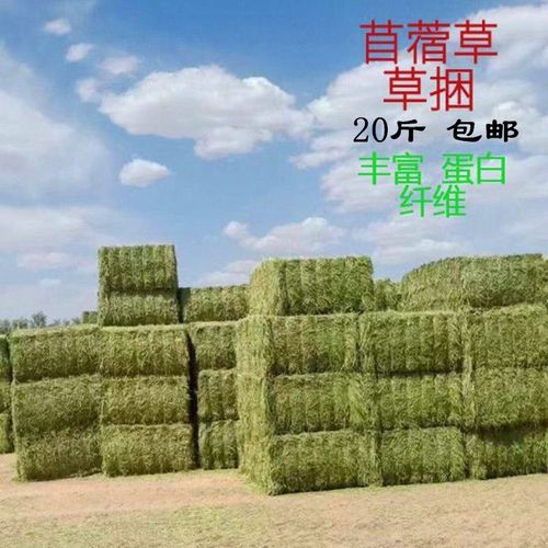 养殖场牛羊马兔干草饲料苜蓿草食用牧草捆家畜喂草料动物园宠物