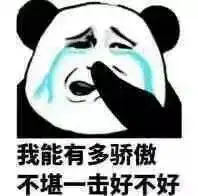 不堪一击好不好(流泪熊猫头)_我能_不堪一击_熊猫_好不好_骄傲表情