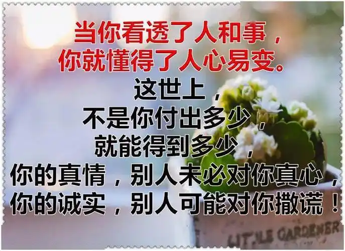 事,看透了失望;人,看透了心寒!一曲《累了痛了就放手》10人听9人泪!