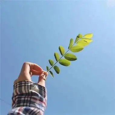 寓意好运的微信名字,什么微信名能带来好运(好运微信名 带来好运)