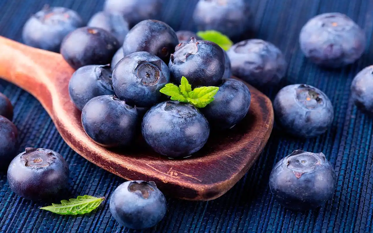 蓝莓图片素材高清电脑壁纸