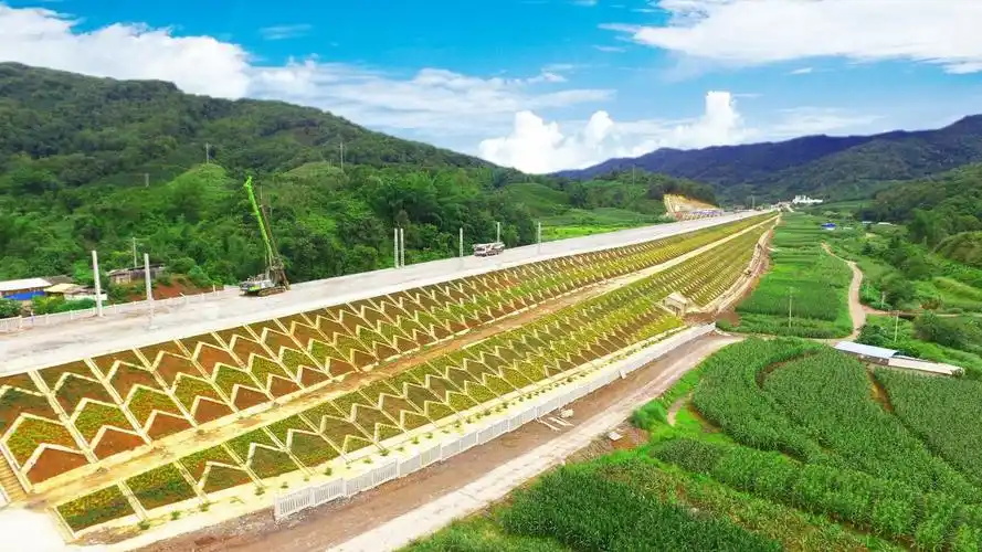 中铁上海工程局玉磨铁路14标 全隧贯通仪式在普文站场路基顺利举行