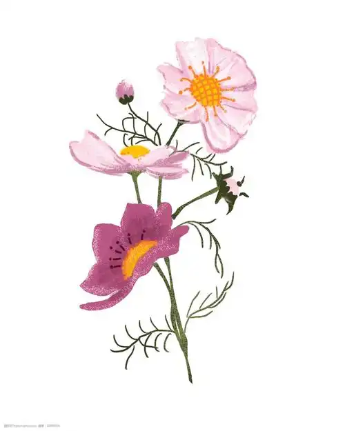 粉色的花朵装饰插画