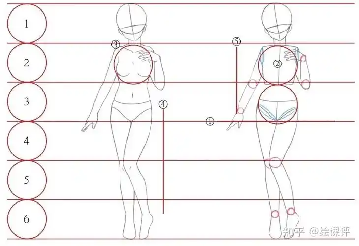 板绘教程漫画人物怎么画女生学人体比例画女性漫画人物