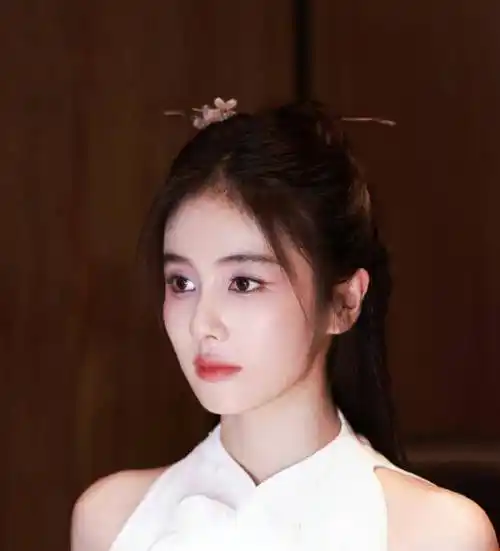 白鹿的紫色眼妆真的很漂亮,相比程潇的白玫瑰西装裙更加抢眼_发夹