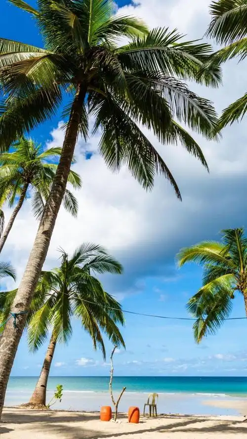 1024_1820竖版 竖屏