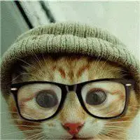戴黑色眼镜猫头像_微信头像图片大全