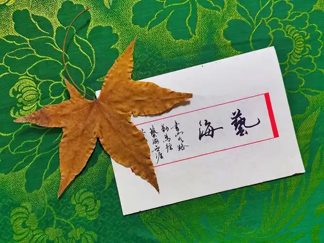 一片枫叶一张字帖,原创拍摄